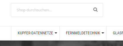 Abbildung Online Shop Suchfeld